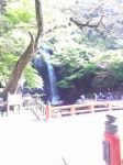 五月の滝